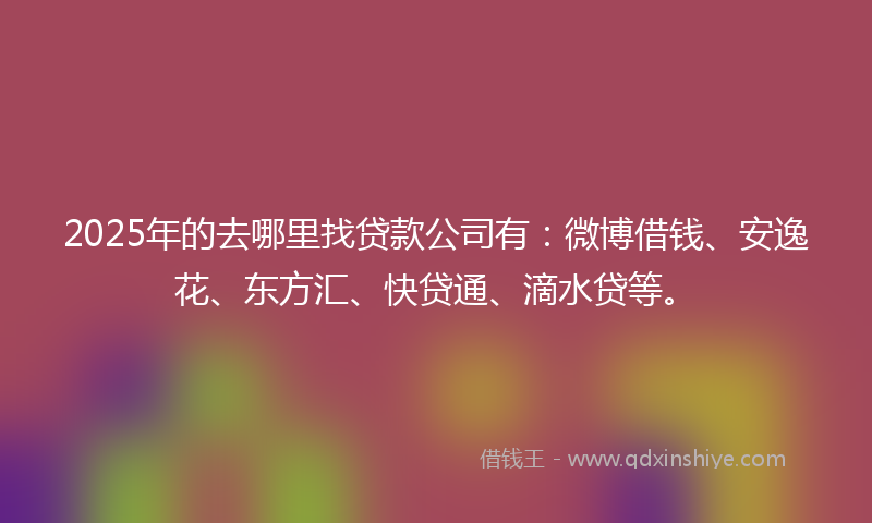 2025年的去哪里找贷款公司有：微博借钱、安逸花、东方汇、快贷通、滴水贷等。