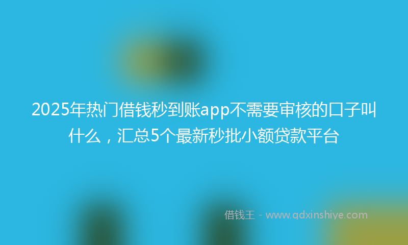 2025年热门借钱秒到账app不需要审核的口子叫什么，汇总5个最新秒批小额贷款平台
