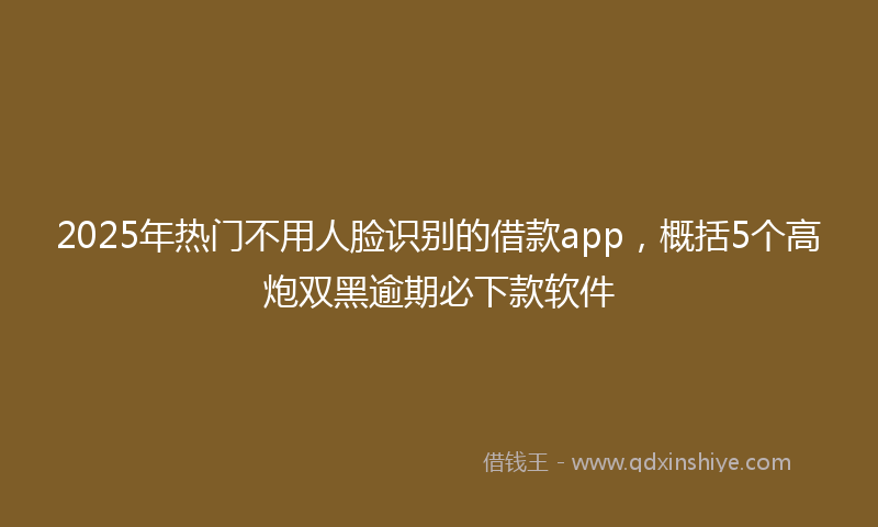 2025年热门不用人脸识别的借款app，概括5个高炮双黑逾期必下款软件