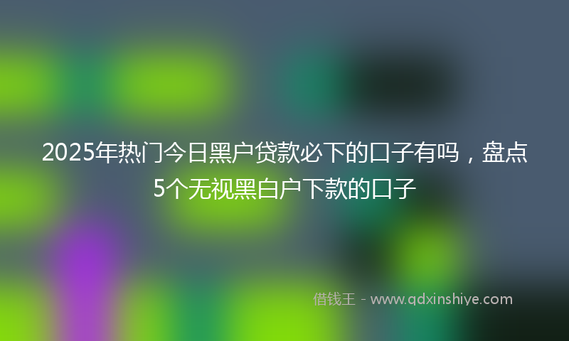 2025年热门今日黑户贷款必下的口子有吗，盘点5个无视黑白户下款的口子