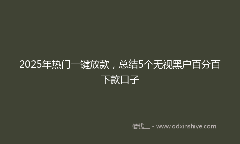 2025年热门一键放款，总结5个无视黑户百分百下款口子