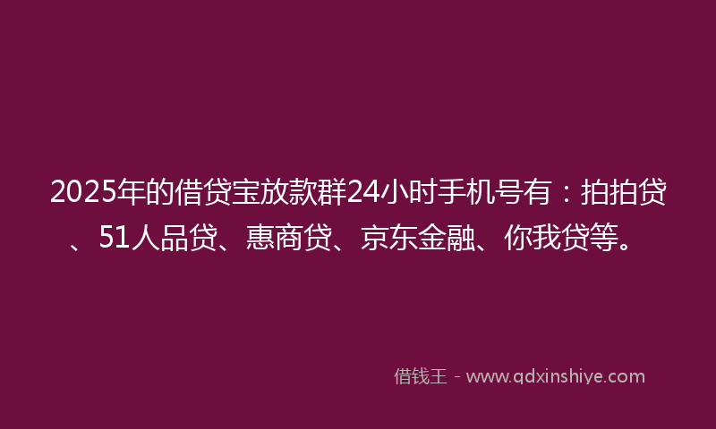 2025年的借贷宝放款群24小时手机号有：拍拍贷、51人品贷、惠商贷、京东金融、你我贷等。