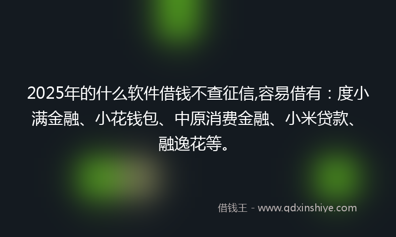 2025年的什么软件借钱不查征信,容易借有：度小满金融、小花钱包、中原消费金融、小米贷款、融逸花等。