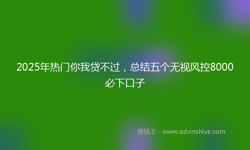 2025年热门你我贷不过，总结五个无视风控8000必下口子