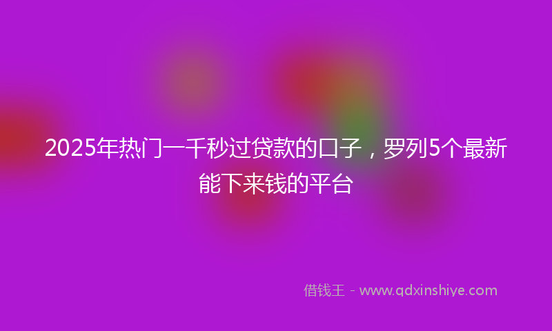 2025年热门一千秒过贷款的口子，罗列5个最新能下来钱的平台
