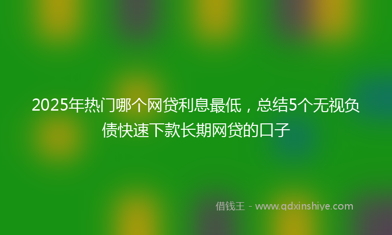 2025年热门哪个网贷利息最低，总结5个无视负债快速下款长期网贷的口子