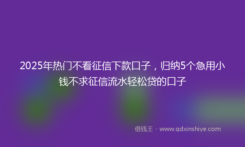 2025年热门不看征信下款口子，归纳5个急用小钱不求征信流水轻松贷的口子