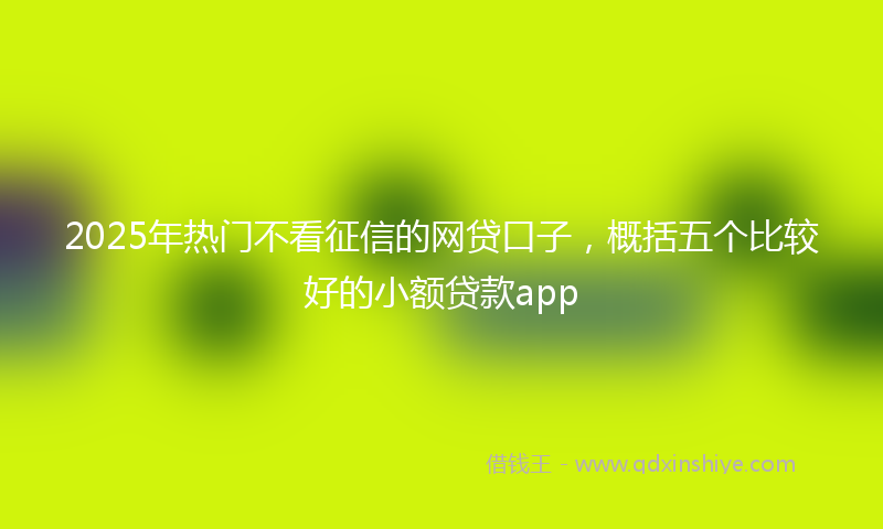 2025年热门不看征信的网贷口子，概括五个比较好的小额贷款app