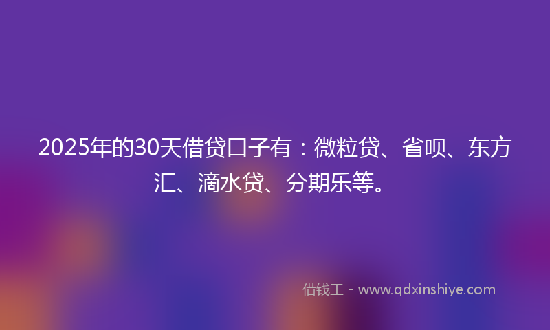 2025年的30天借贷口子有：微粒贷、省呗、东方汇、滴水贷、分期乐等。