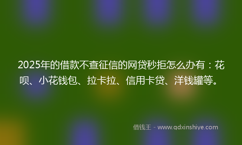 2025年的借款不查征信的网贷秒拒怎么办有：花呗、小花钱包、拉卡拉、信用卡贷、洋钱罐等。