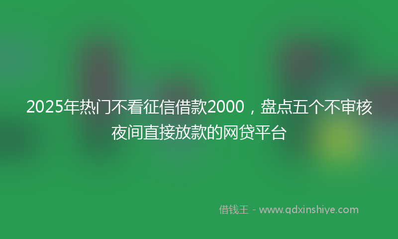 2025年热门不看征信借款2000，盘点五个不审核夜间直接放款的网贷平台