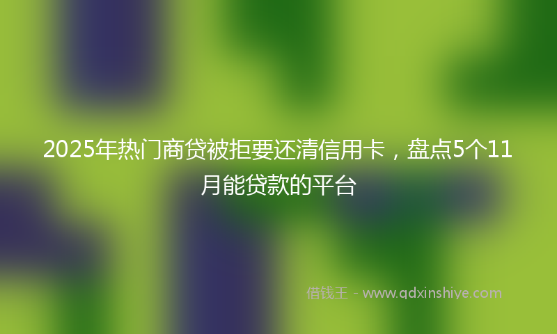2025年热门商贷被拒要还清信用卡，盘点5个11月能贷款的平台