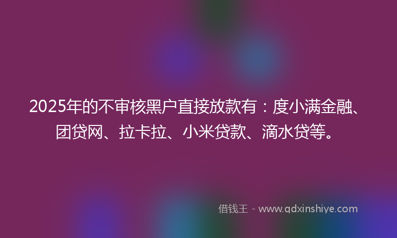 2025年的不审核黑户直接放款有：度小满金融、团贷网、拉卡拉、小米贷款、滴水贷等。