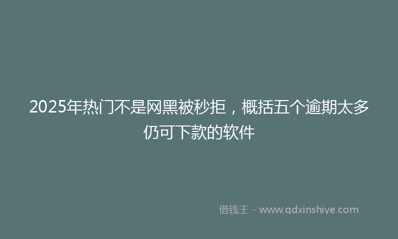 2025年热门不是网黑被秒拒，概括五个逾期太多仍可下款的软件