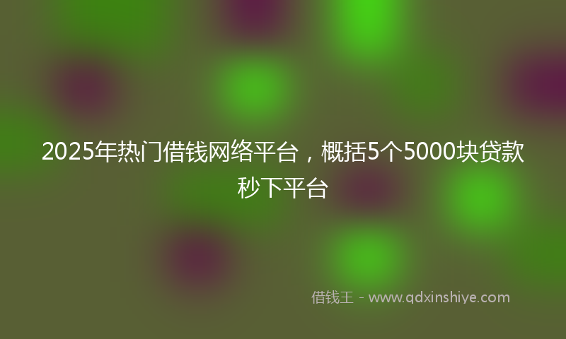 2025年热门借钱网络平台，概括5个5000块贷款秒下平台