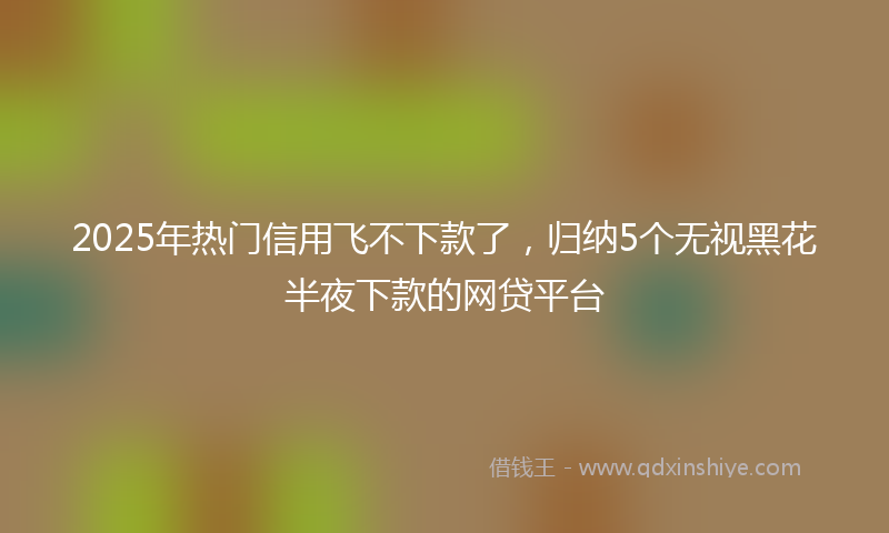 2025年热门信用飞不下款了，归纳5个无视黑花半夜下款的网贷平台