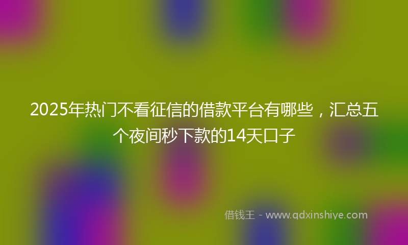 2025年热门不看征信的借款平台有哪些，汇总五个夜间秒下款的14天口子