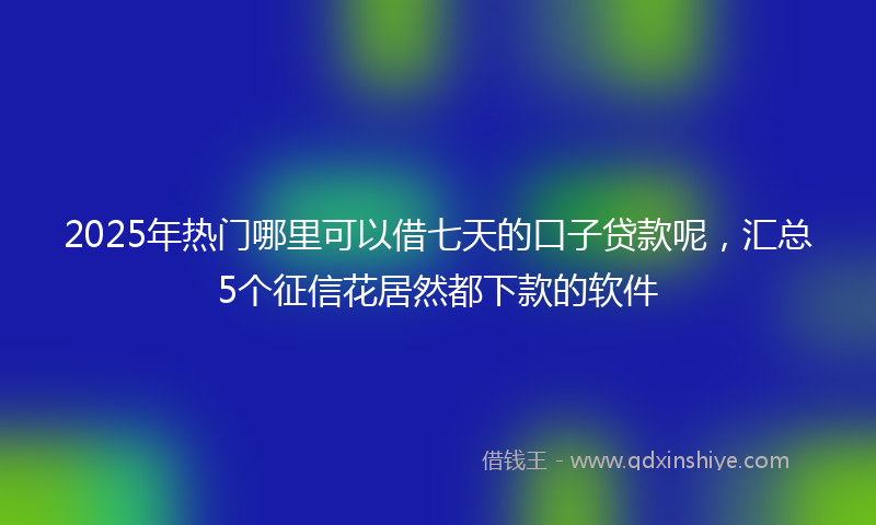 2025年热门哪里可以借七天的口子贷款呢，汇总5个征信花居然都下款的软件