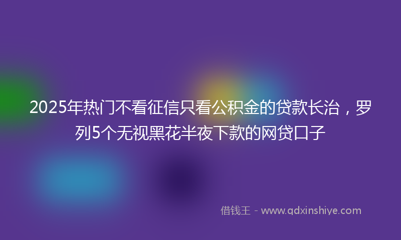 2025年热门不看征信只看公积金的贷款长治，罗列5个无视黑花半夜下款的网贷口子