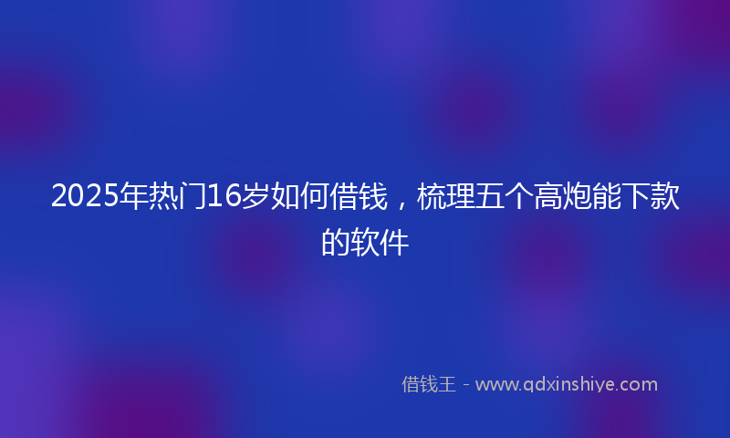 2025年热门16岁如何借钱，梳理五个高炮能下款的软件