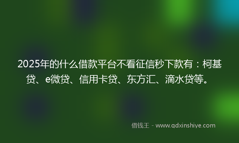 2025年的什么借款平台不看征信秒下款有：柯基贷、e微贷、信用卡贷、东方汇、滴水贷等。