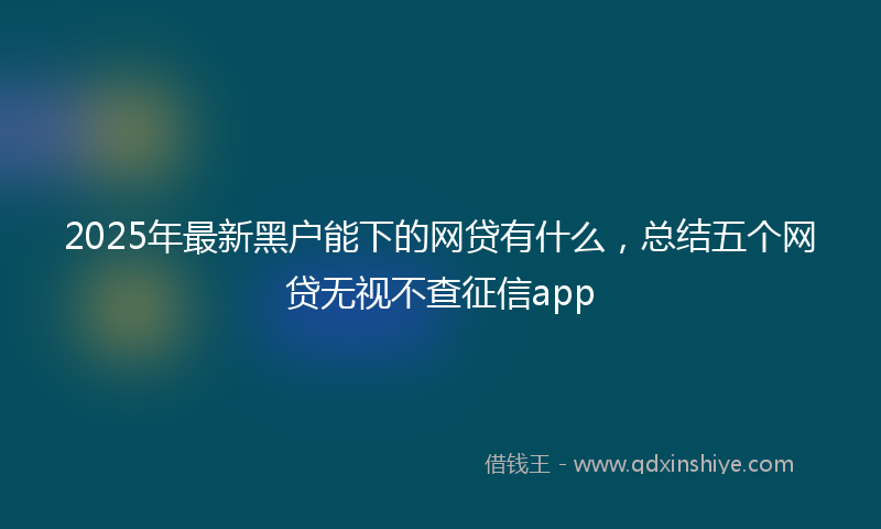 2025年最新黑户能下的网贷有什么，总结五个网贷无视不查征信app
