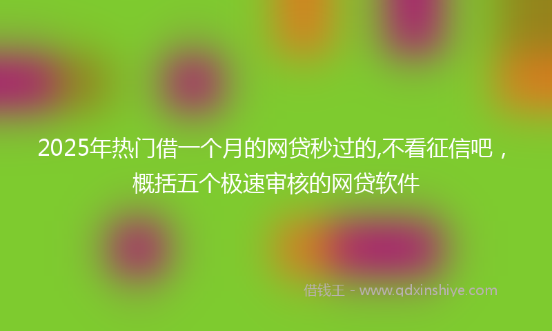 2025年热门借一个月的网贷秒过的,不看征信吧，概括五个极速审核的网贷软件