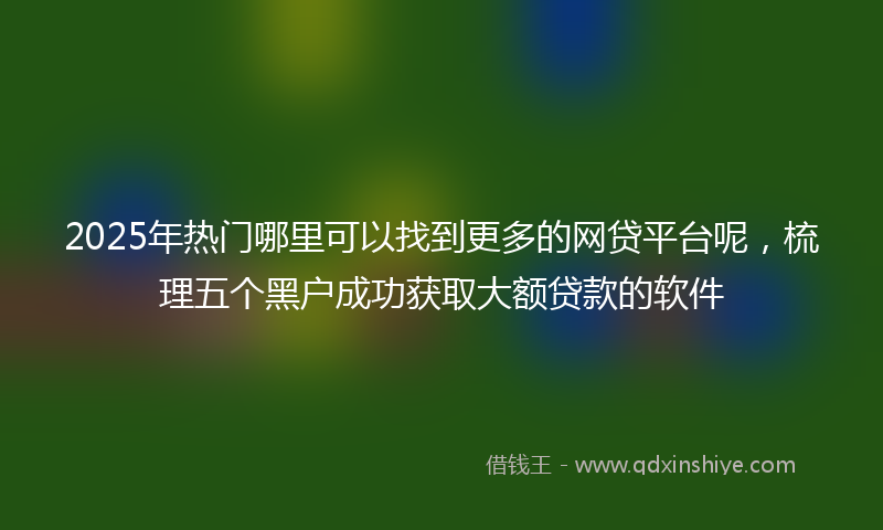2025年热门哪里可以找到更多的网贷平台呢，梳理五个黑户成功获取大额贷款的软件