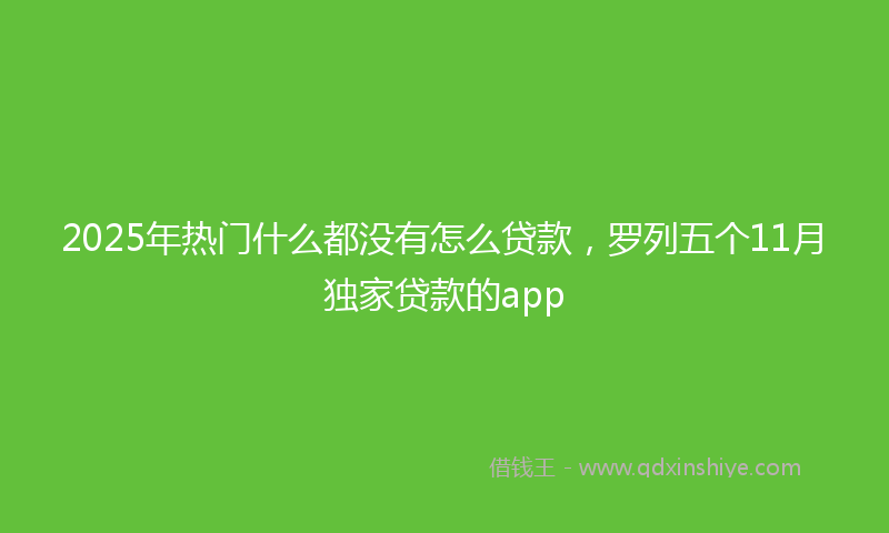 2025年热门什么都没有怎么贷款，罗列五个11月独家贷款的app