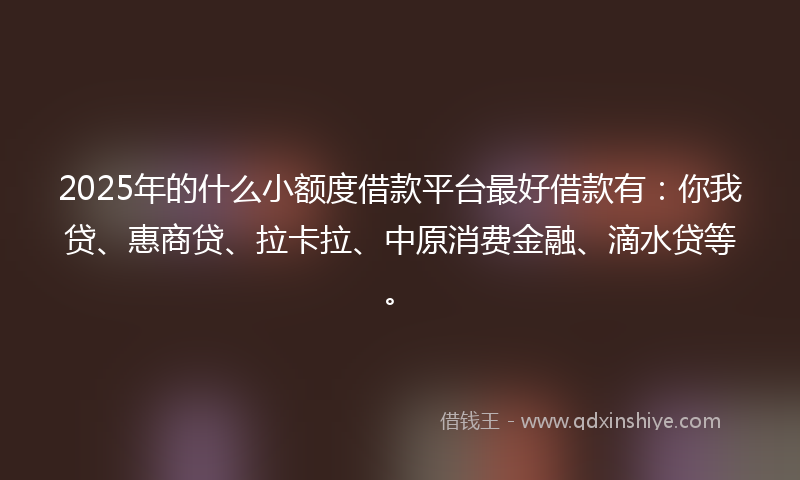 2025年的什么小额度借款平台最好借款有：你我贷、惠商贷、拉卡拉、中原消费金融、滴水贷等。