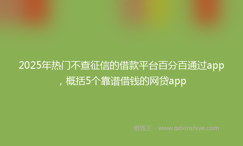 2025年热门不查征信的借款平台百分百通过app，概括5个靠谱借钱的网贷app