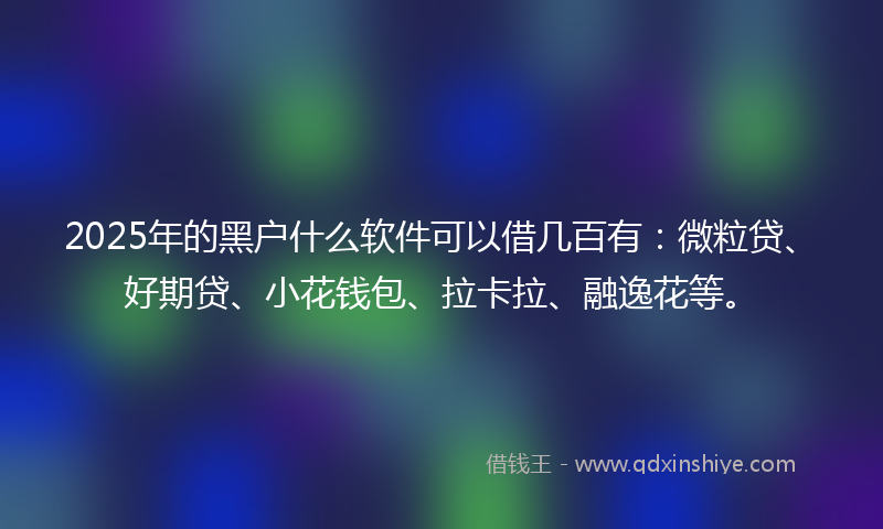 2025年的黑户什么软件可以借几百有：微粒贷、好期贷、小花钱包、拉卡拉、融逸花等。