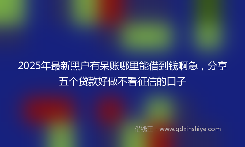 2025年最新黑户有呆账哪里能借到钱啊急，分享五个贷款好做不看征信的口子