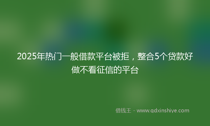 2025年热门一般借款平台被拒，整合5个贷款好做不看征信的平台