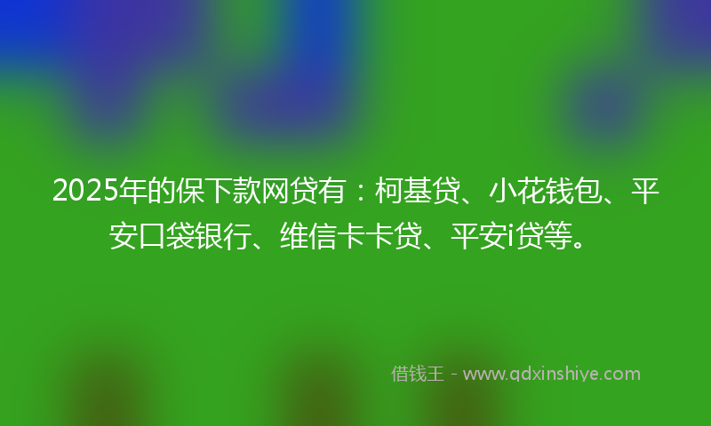 2025年的保下款网贷有：柯基贷、小花钱包、平安口袋银行、维信卡卡贷、平安i贷等。