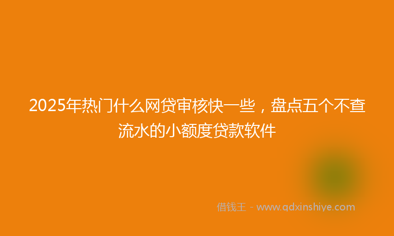 2025年热门什么网贷审核快一些，盘点五个不查流水的小额度贷款软件