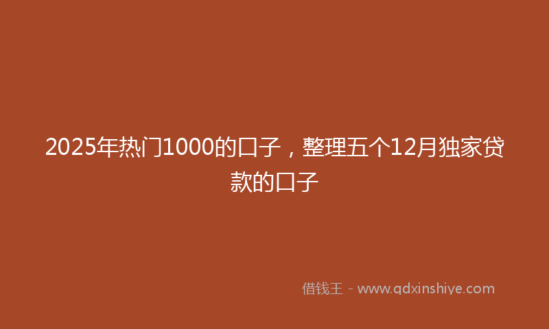 2025年热门1000的口子，整理五个12月独家贷款的口子