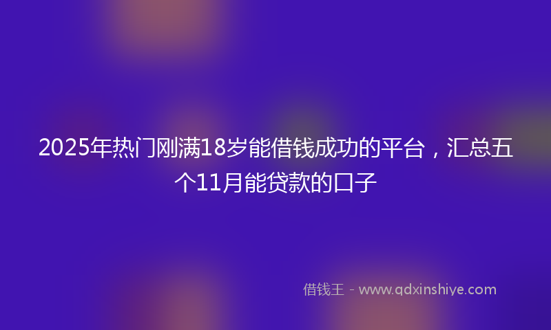 2025年热门刚满18岁能借钱成功的平台，汇总五个11月能贷款的口子