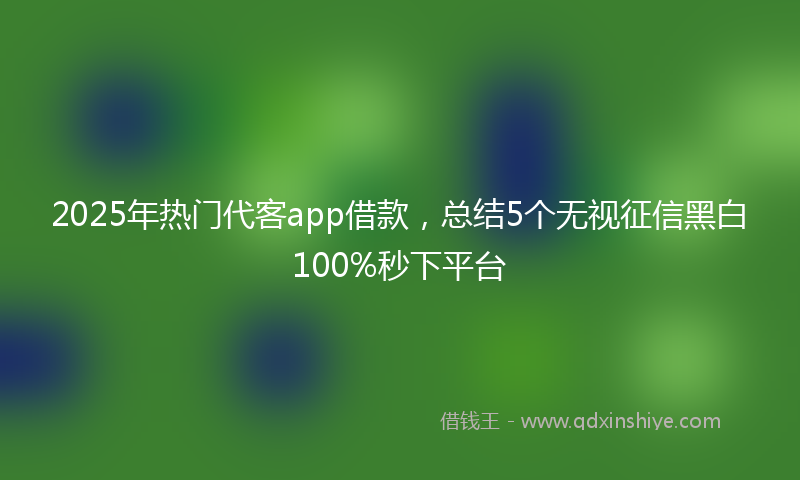2025年热门代客app借款，总结5个无视征信黑白100%秒下平台