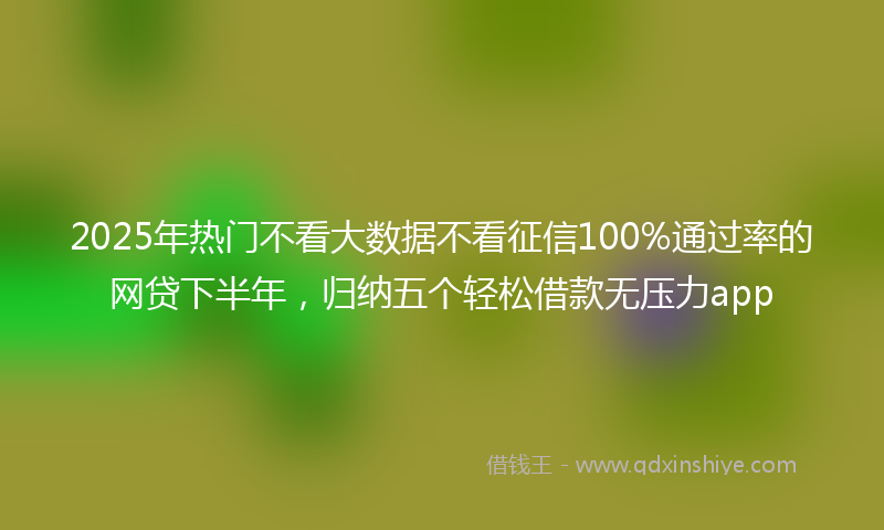 2025年热门不看大数据不看征信100%通过率的网贷下半年，归纳五个轻松借款无压力app