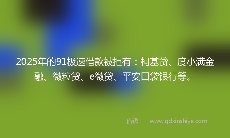 2025年的91极速借款被拒有：柯基贷、度小满金融、微粒贷、e微贷、平安口袋银行等。