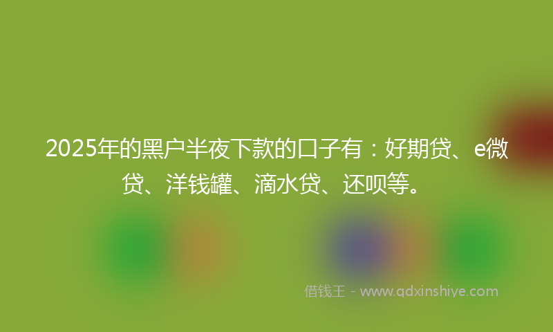 2025年的黑户半夜下款的口子有：好期贷、e微贷、洋钱罐、滴水贷、还呗等。