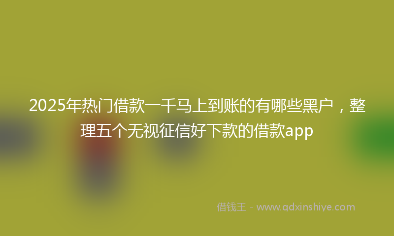2025年热门借款一千马上到账的有哪些黑户，整理五个无视征信好下款的借款app