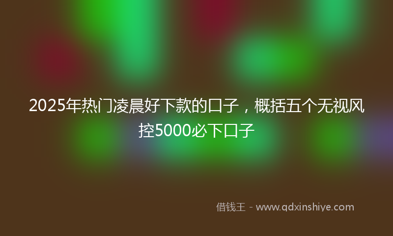 2025年热门凌晨好下款的口子，概括五个无视风控5000必下口子