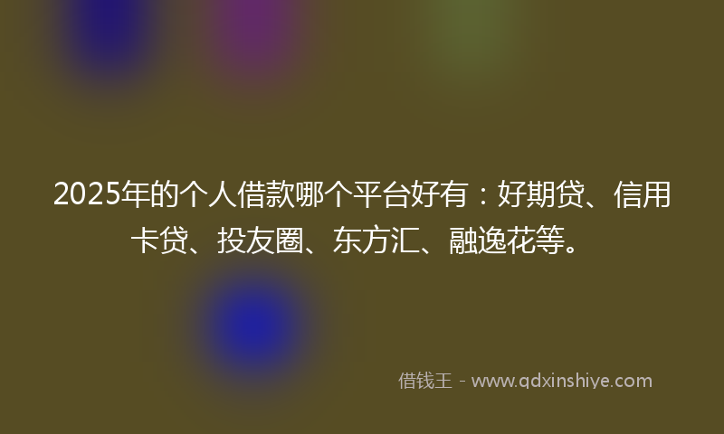 2025年的个人借款哪个平台好有：好期贷、信用卡贷、投友圈、东方汇、融逸花等。