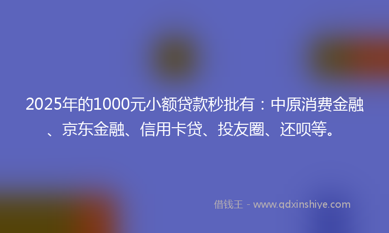 2025年的1000元小额贷款秒批有：中原消费金融、京东金融、信用卡贷、投友圈、还呗等。