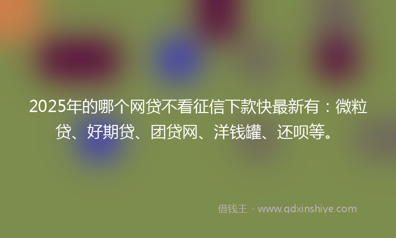 2025年的哪个网贷不看征信下款快最新有：微粒贷、好期贷、团贷网、洋钱罐、还呗等。