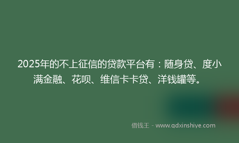 2025年的不上征信的贷款平台有：随身贷、度小满金融、花呗、维信卡卡贷、洋钱罐等。