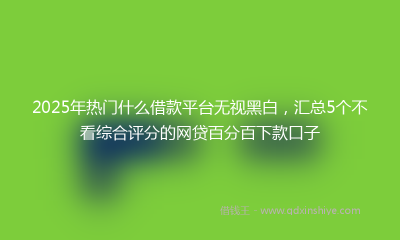 2025年热门什么借款平台无视黑白，汇总5个不看综合评分的网贷百分百下款口子