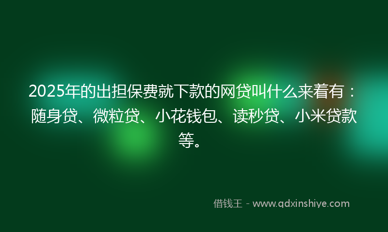 2025年的出担保费就下款的网贷叫什么来着有：随身贷、微粒贷、小花钱包、读秒贷、小米贷款等。